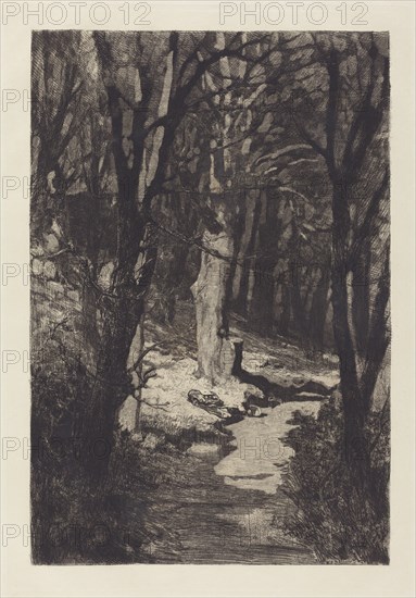 Im Walde (In the Forest), 1883.