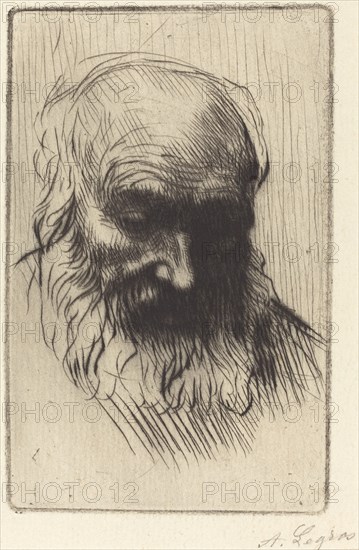 Head of an Old Man (Etude de tete).