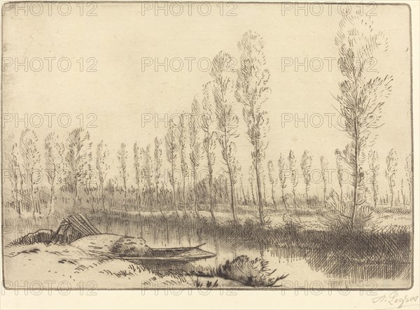 Poplars near Amiens (Pres d'Amiens, les tourbieres).