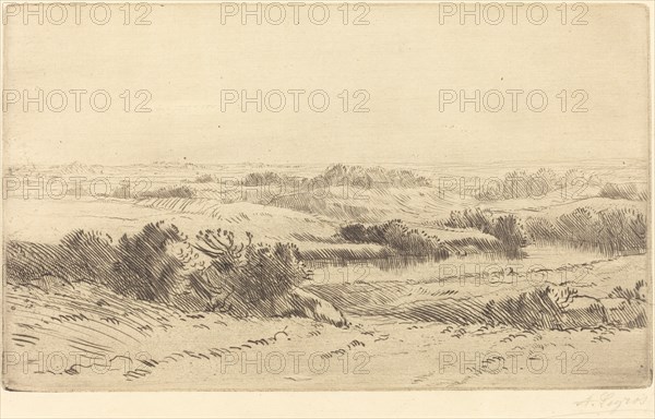 Banks of the Yanne (Les bords de la Yanne).