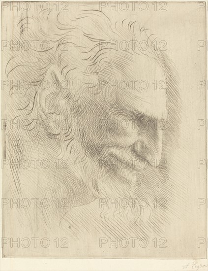 Study for the Head of a Man (Etude de tete d'homme).