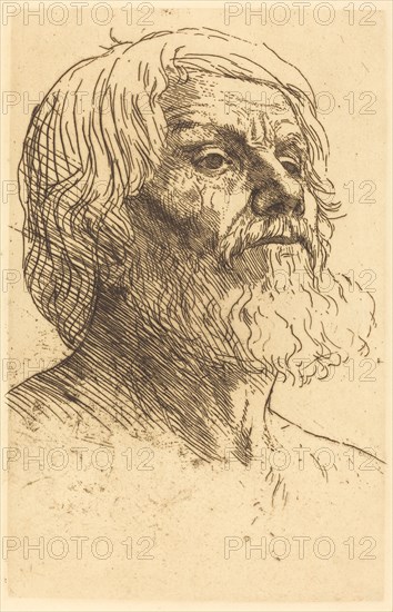 Head of a Man (Tete d'homme).