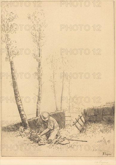 Finding the Sheep (Le mouton retrouve).