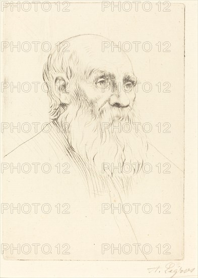 Head of an Old Man (Etude de tete).