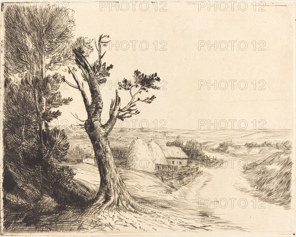 Landscape with Haystacks (Le paysage aux meules).