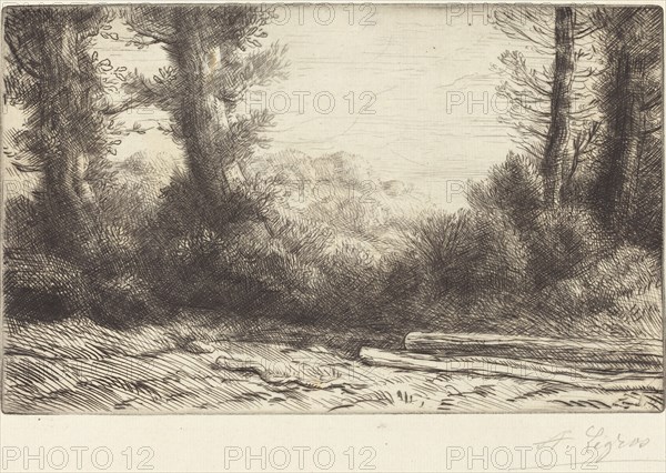Edge of a Wood (Lisiere de bois).