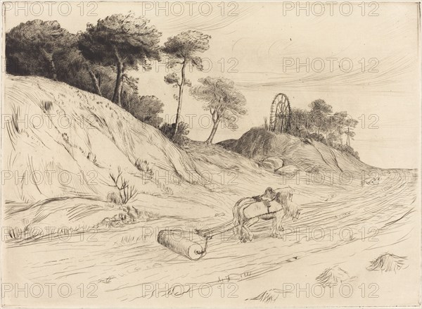 Landscape with Roller (Le paysage au rouleau).