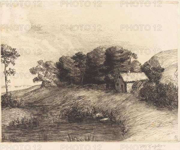 Landscape with Pond (Le paysage a la mare).