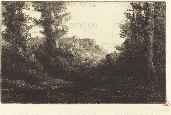 Edge of a Wood (Lisiere de bois).