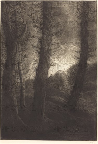 Large Trees Seen against the Sun (Les grandes arbres: Effet du soir).