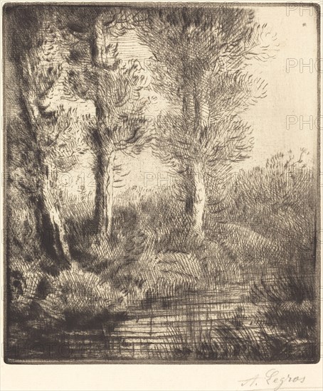 Banks of the Saint-Pre (Rive du Saint-Pre).