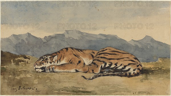 Tiger, c. 1830.