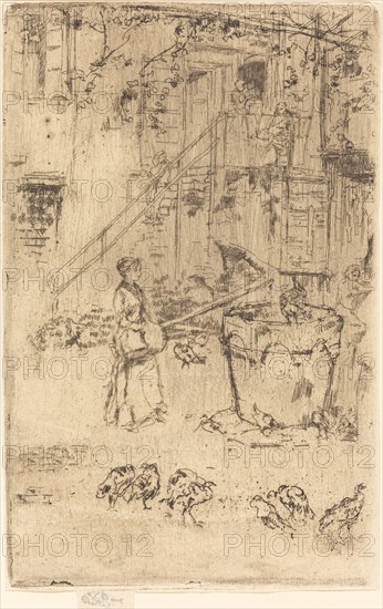 Turkeys, 1880.