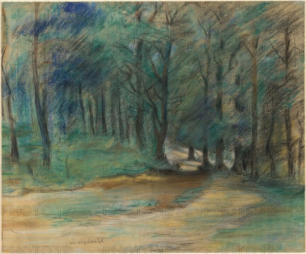 Woodland Path, 1890s.