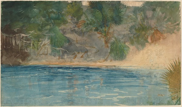 Blue Spring, Florida, 1890.