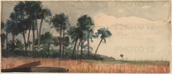 Palm Trees, Red, 1890.