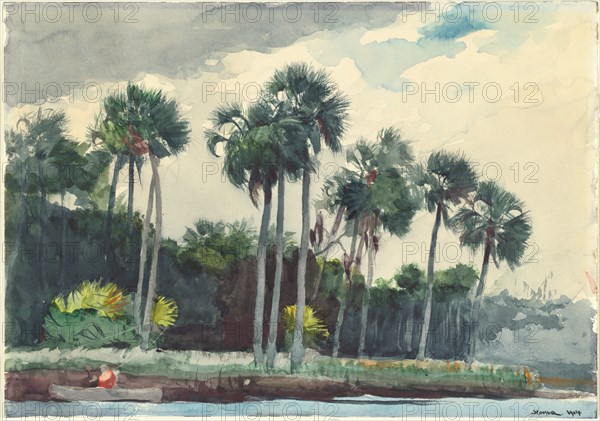 Red Shirt, Homosassa, Florida, 1904.