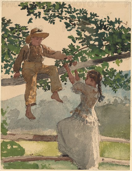 On the Fence, 1878.