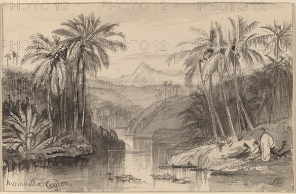 Avisavella, Ceylon, 1884/1885.