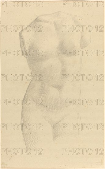 Torso.