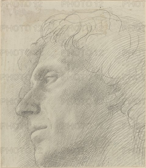 Head of a Man Facing Left.