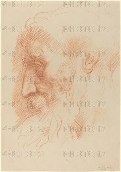 Study of a Man's Head [recto].