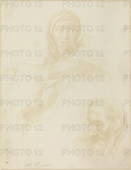 Study of Delphic Sibyl; Head of a Man.