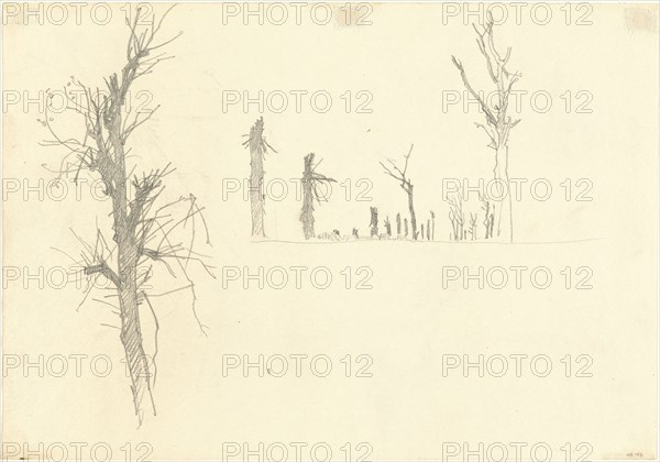 Devastated Trees [verso], 1918.