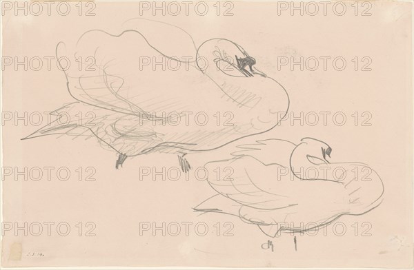 Studies of a Swan, 1880-1900.