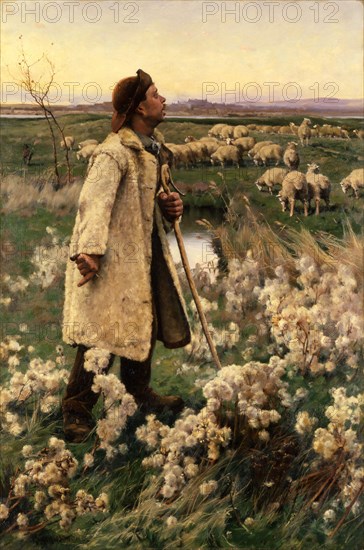 Shepherd, 1884.
