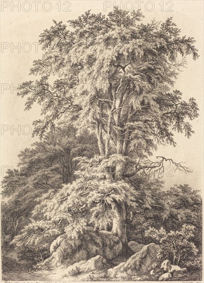 Beech Grove, 1840.