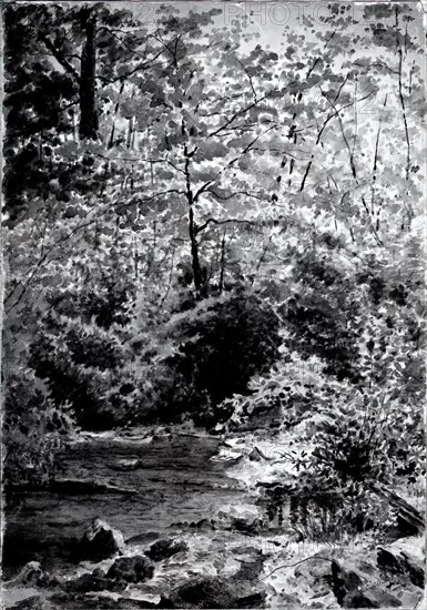 In The Woods, 1889.