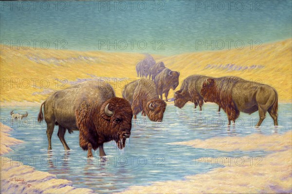 Buffalo Scene, 1922.