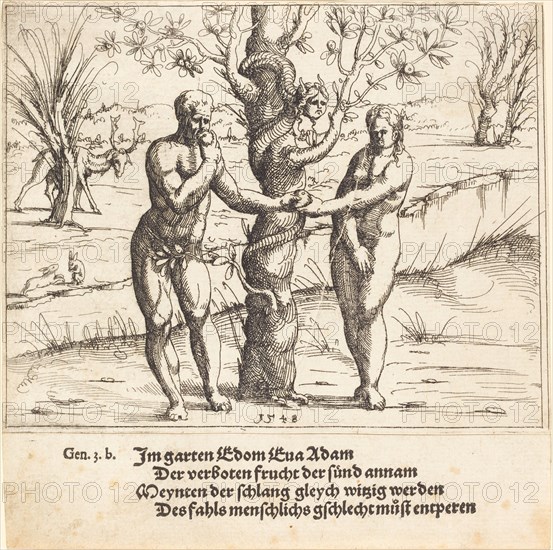 The Fall of Man, 1548.