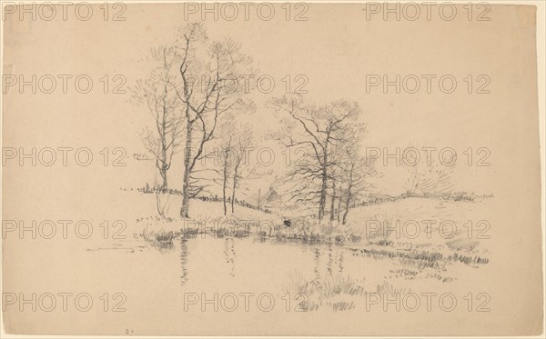 Meadow Pond, New York.