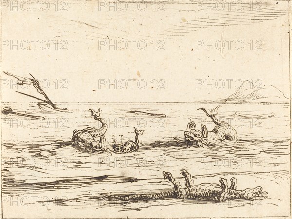 Dolphins and Crocodile.