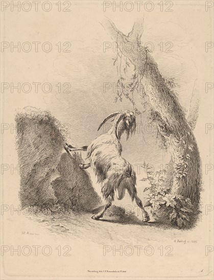 Goat in a Landscape, 1805.
