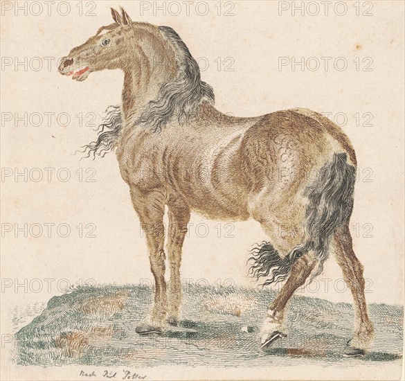 The Neighing Horse, 1690s.