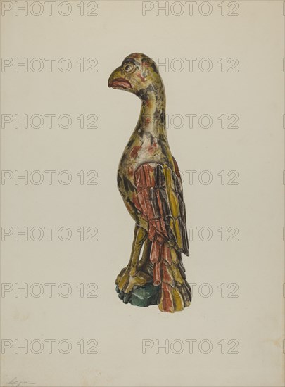 Pa. German Parrot, c. 1939. Creator: Giacinto Capelli.