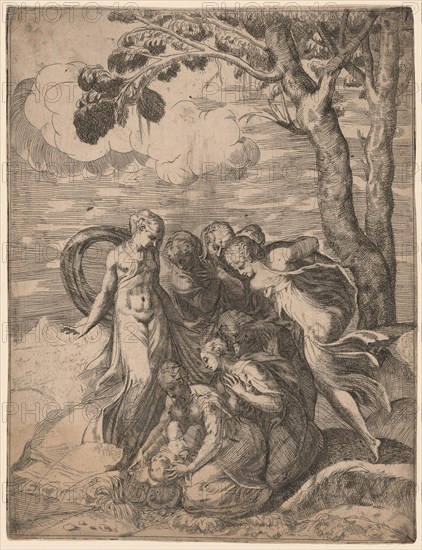 The Finding of Moses, 1540s.