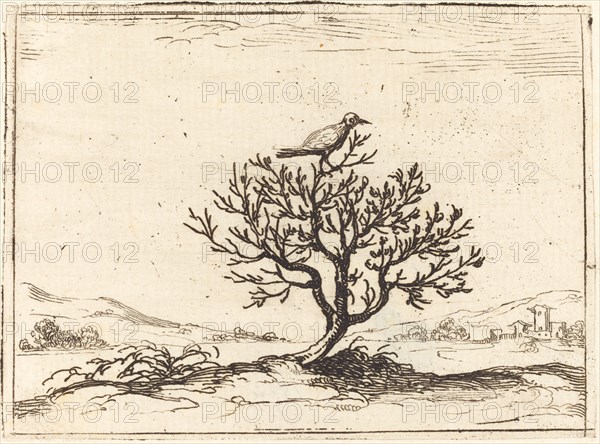 Nightingale in a Bush, 1628.