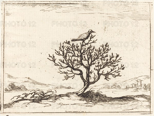 Nightingale in a Bush, 1628.