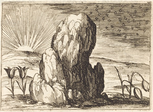 The Tulips and the Sun, 1628.