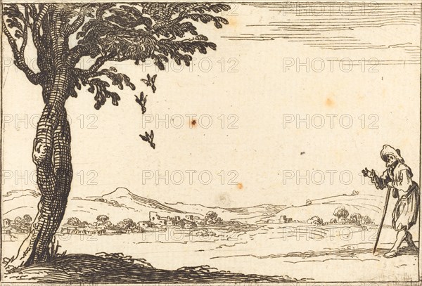 The Crow and her Young, 1628.