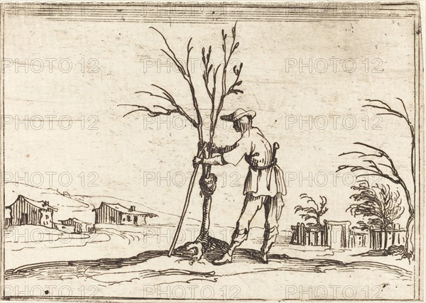 Gardener Pruning a Tree, 1628.