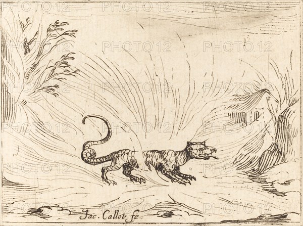 Salamander Surrounded by Flames.
