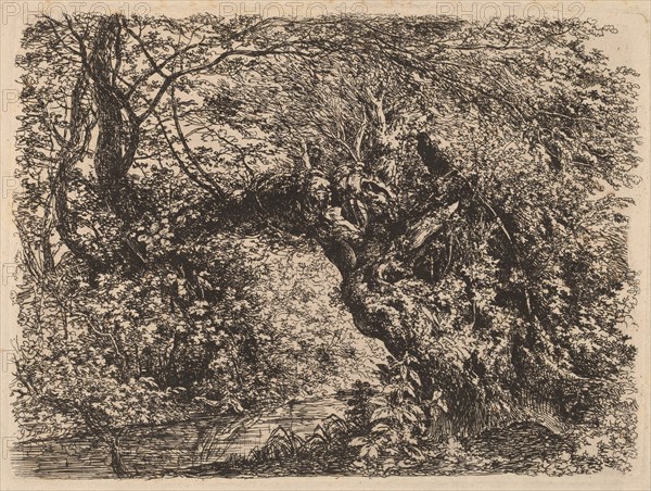 An Old Willow by a Stream, 1793.