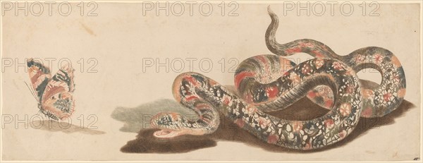 Snake and Butterfly, 1680s/1690s.