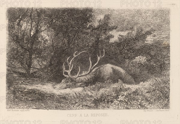 Cerf a la Reposee. [Resting stag].