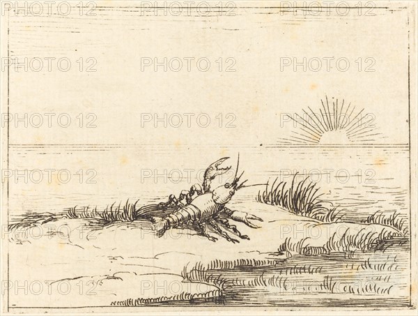 Crayfish Looking at the Sun, 1628.